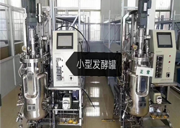 發(fā)酵罐的發(fā)酵過程有哪些操作要點(diǎn)呢？